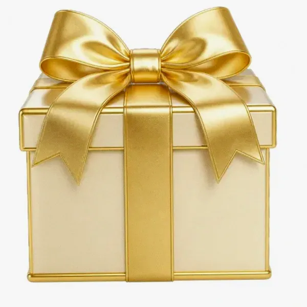 Wrapped gift box — Lizaro
